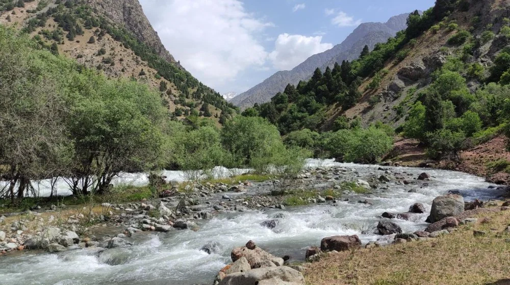 Некруз Сафаров. Тәжікстан, Қаратағ өзенінің аңғары. 2023 жыл / Wikimedia Commons