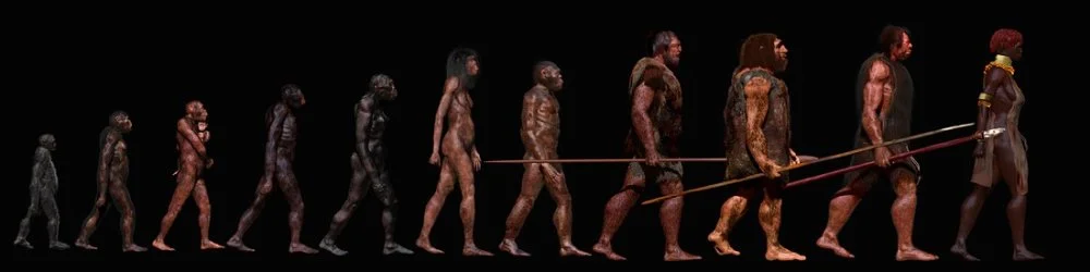 Эволюция человека/JOHN BAVARO FINE ART/Science Photo Library