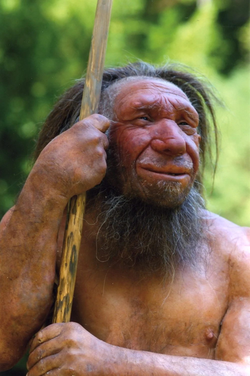 Пожилой неандерталец © Holger Neumann/Neanderthal Museum 
