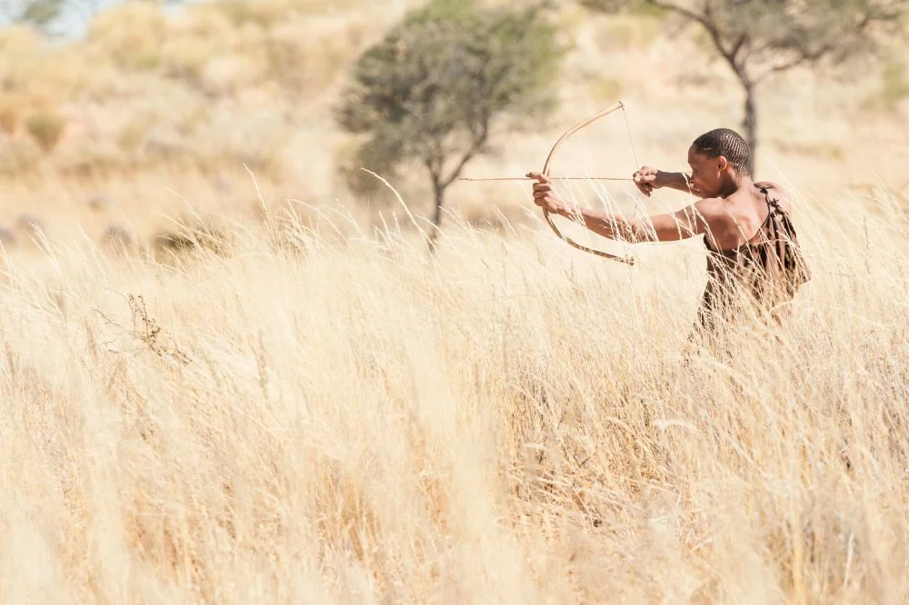 A Bushmen standing in tall grasses of the Kalahari uses a bow and arrow on a hunt, southern Namibia, Africa /Alamy