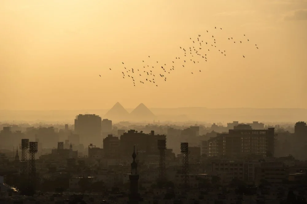 Flock of birds flying at sunset over the Cairo cityscape with the famous Giza pryramids in the background in Egypt /Getty Images