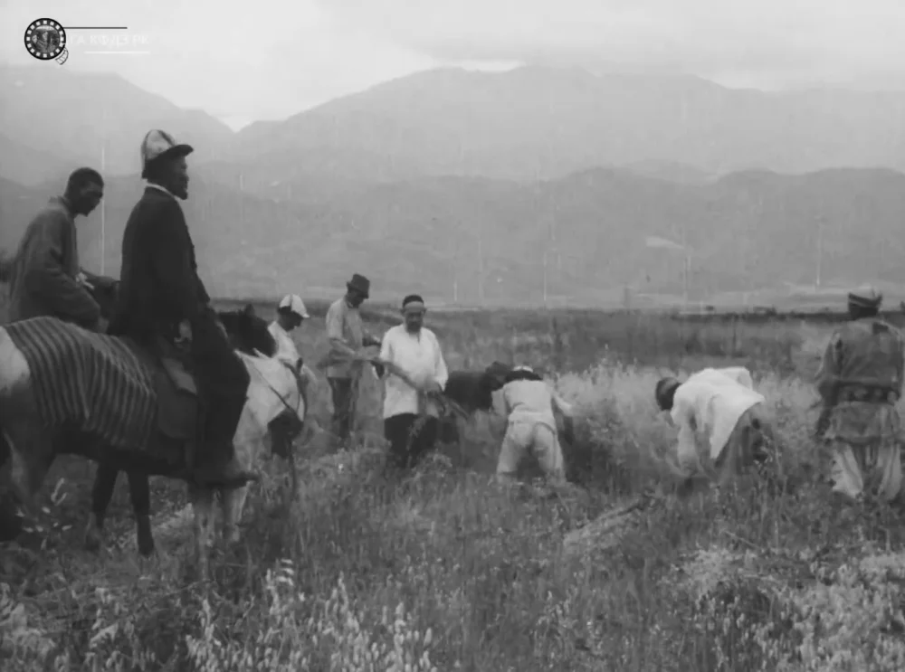Уборка урожая на поле. Казахстан, 1927. Кадр из советского киножурнала «Советский Казахстан» / ЦГА КФДЗ