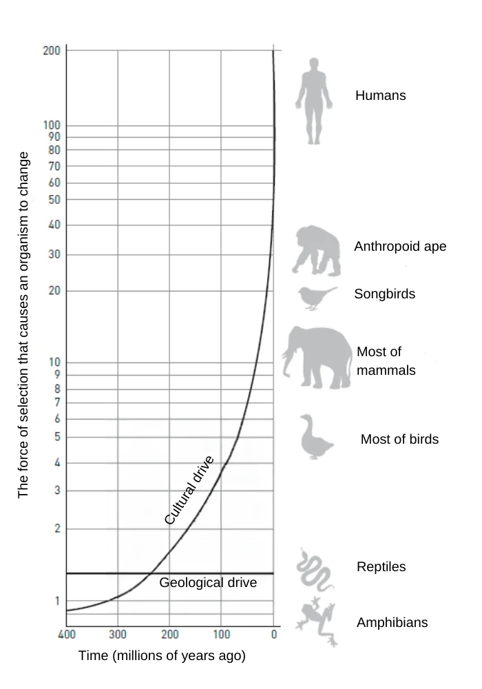 The influence of cultural drive on evolution/Alexander Markov