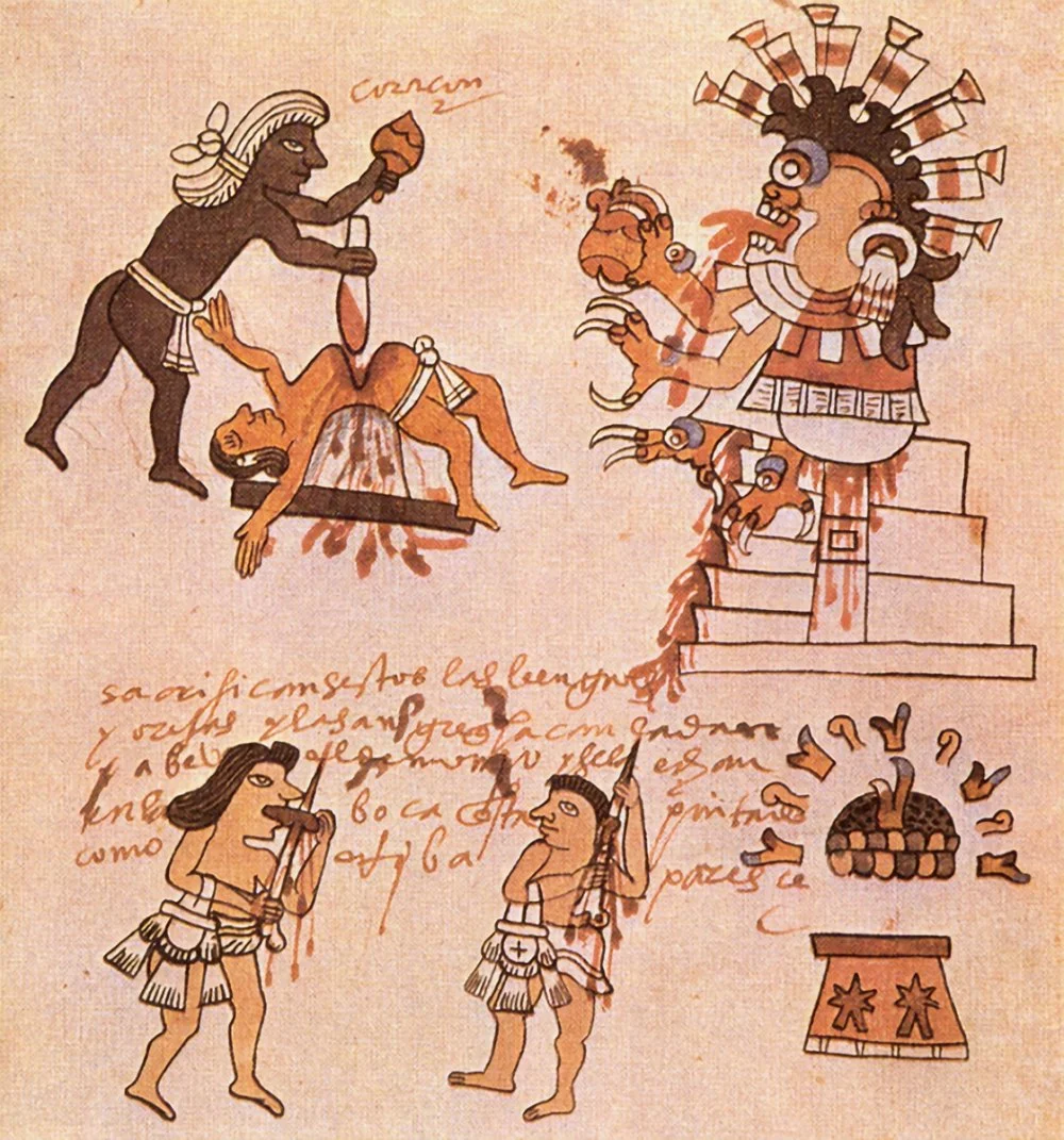 Aztec ritual human sacrifice portrayed in the page 141 (folio 70r) of the Codex Magliabechiano.. XVIe siècle. Extract of Codex Magliabechiano (cf. FAMSI (Foundation for the Advancement of Mesoamerican Studies, Inc./Wikimedia Commons