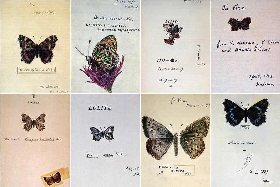 Nabokov's drawings/from open access
