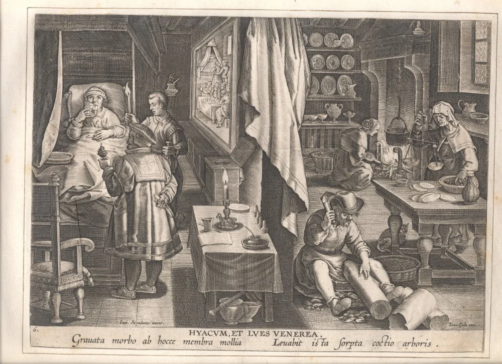Открытие гваяка в качестве лекарства от сифилиса. Гравюра, 1590/Wikimedia Commons