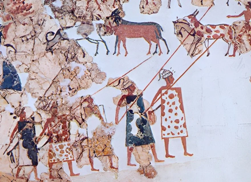 A fresco from the 17th to 16th centuries BC from the excavations of the Minoan city of Akrotiri is the oldest known image of helmets with boar tusks as a protective coating/Wikimedia Commons