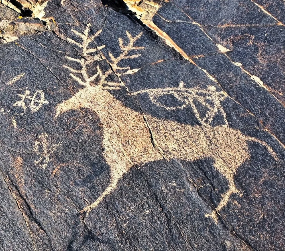 Deer hunting scene. Ordakul/Olga Gumirova