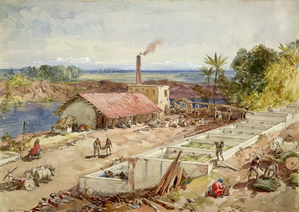 Шотландский художник Уильям Симпсон (1823-1899). Фабрика по производству красок индиго в Бенгалии (ныне Западная Бенгалия и Бангладеш). 1863/Alamy