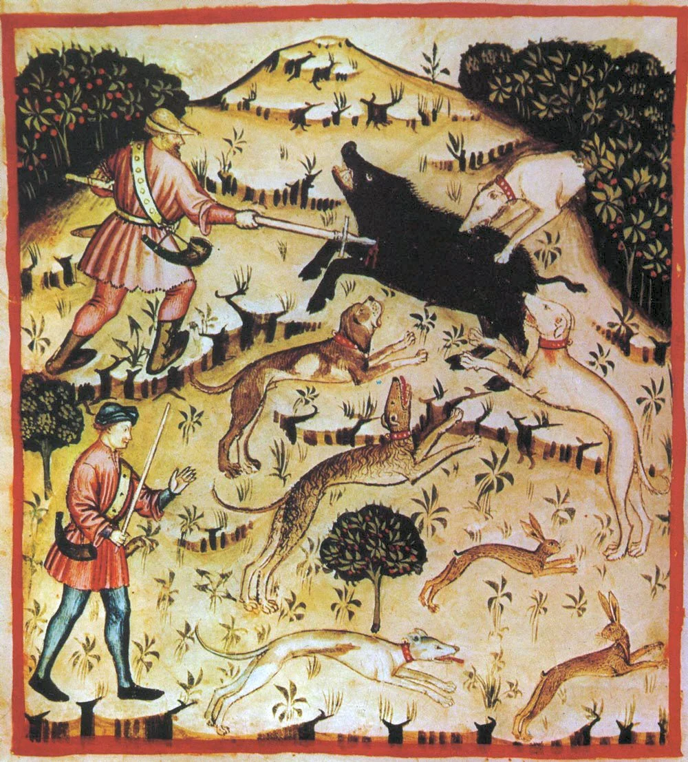 Hunting wild boar and hare with dogs and spears. Illustration from Ibn Butlan's book. 14th century/Wikimedia Commons