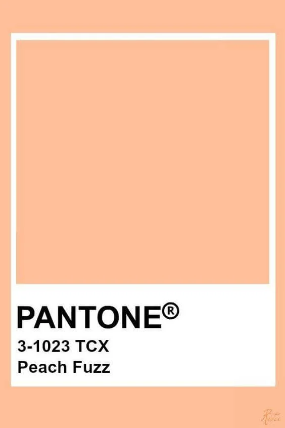 2024 жылдың түсі - «Мамық шабдалы»/Pantone.com