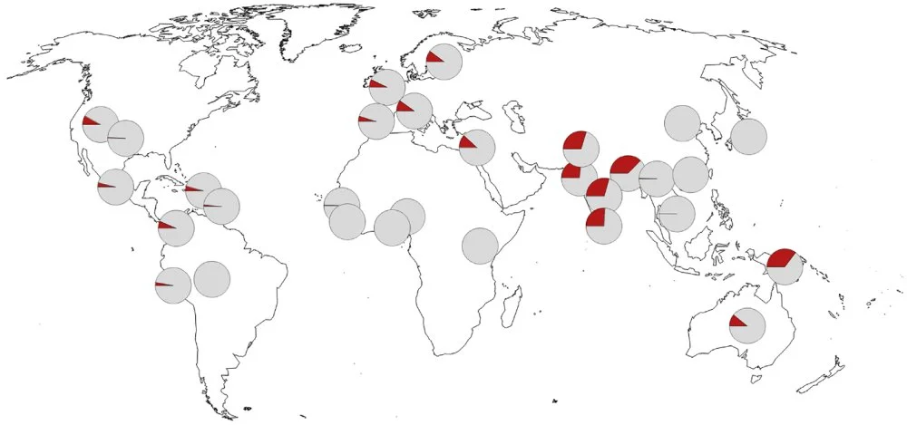COVID-19 асқынған түрімен ауру қаупін арттыратын неандерталдық генетикалық нұсқаның кездесу жиілігі. Африка мен Шығыс Азияда «қатерлі аллелдің» жоқ екендігі, ал ең жоғары жиілік Оңтүстік Азияда, әсіресе Бангладеште байқалады/Nature (2015)
