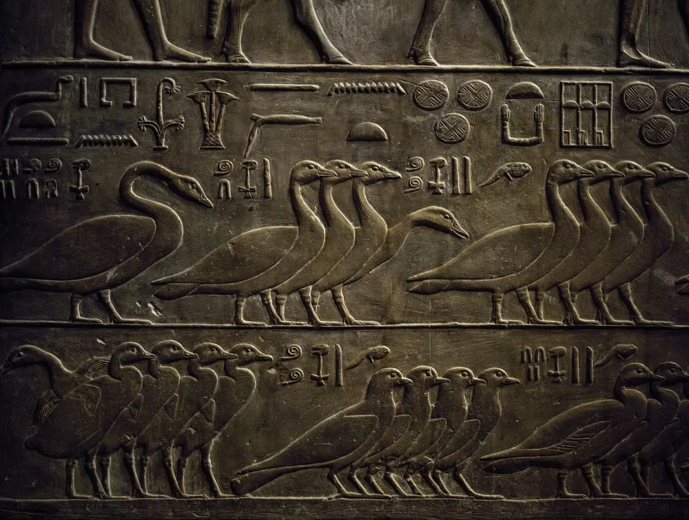 Rows of birds, detail of a painted relief, east wall of the Chapel of Ptahhotep, mastaba D64 at Saqqara (Unesco World Heritage List, 1979). Egyptian Civilisation, Old Kingdom, Dynasty V/Getty Images