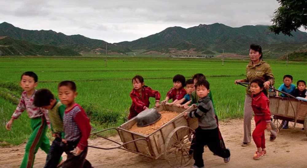 Дети помогают заделывать ямы на дорогах. Северная Корея/Alamy