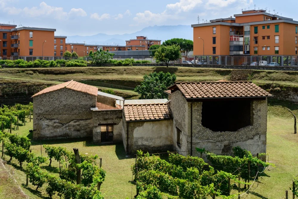 Villa Boscoreale. 50-40 BC/Wikimedia commons