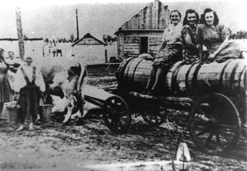 Литвалық саяси тұтқындар лагерьде. Воркута, 1955 жыл / Wikimedia Commons