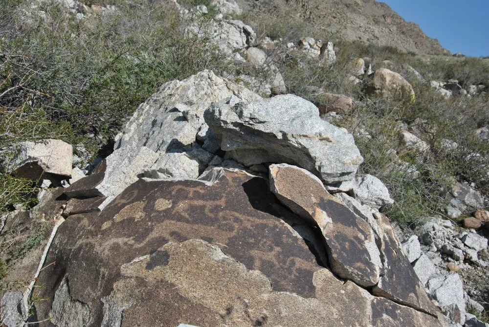 Petroglyph of the Boar/Olga Gumirova